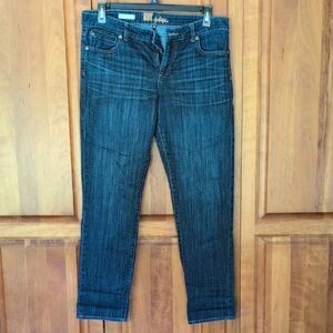 Kut from the Kloth Blue Ankle Cropped Jeans with Straight Leg